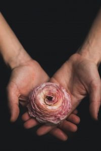 matthew-henry-p-ppcccuziu-unsplash matthew-henry-p-ppcccuziu-unsplash
