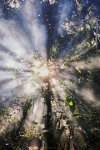 omkar-jadhav-s5xnlpmxhzu-unsplash omkar-jadhav-s5xnlpmxhzu-unsplash